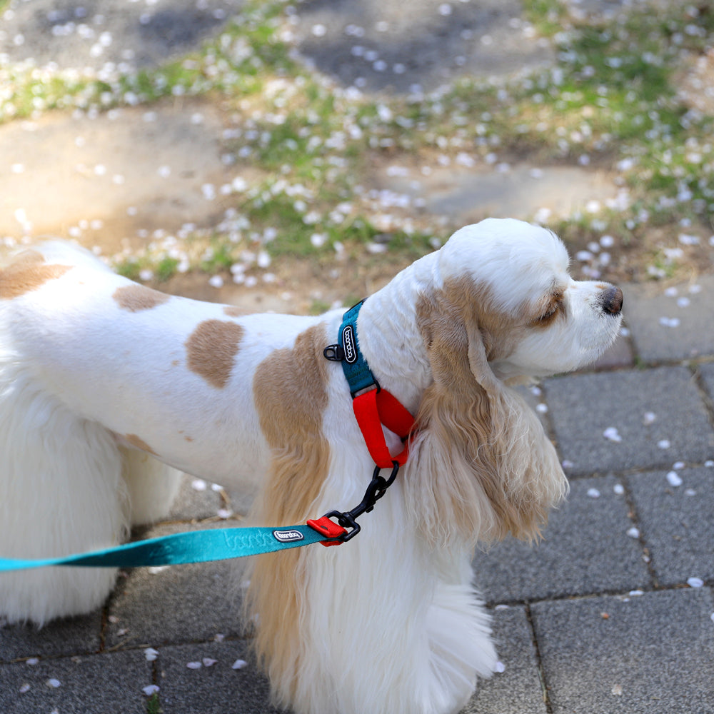 防暴衝項圈 - 奶茶色