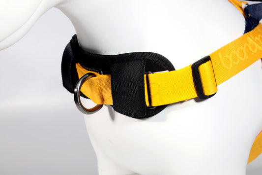 BLINKY Pet Safety LED Light 散步燈