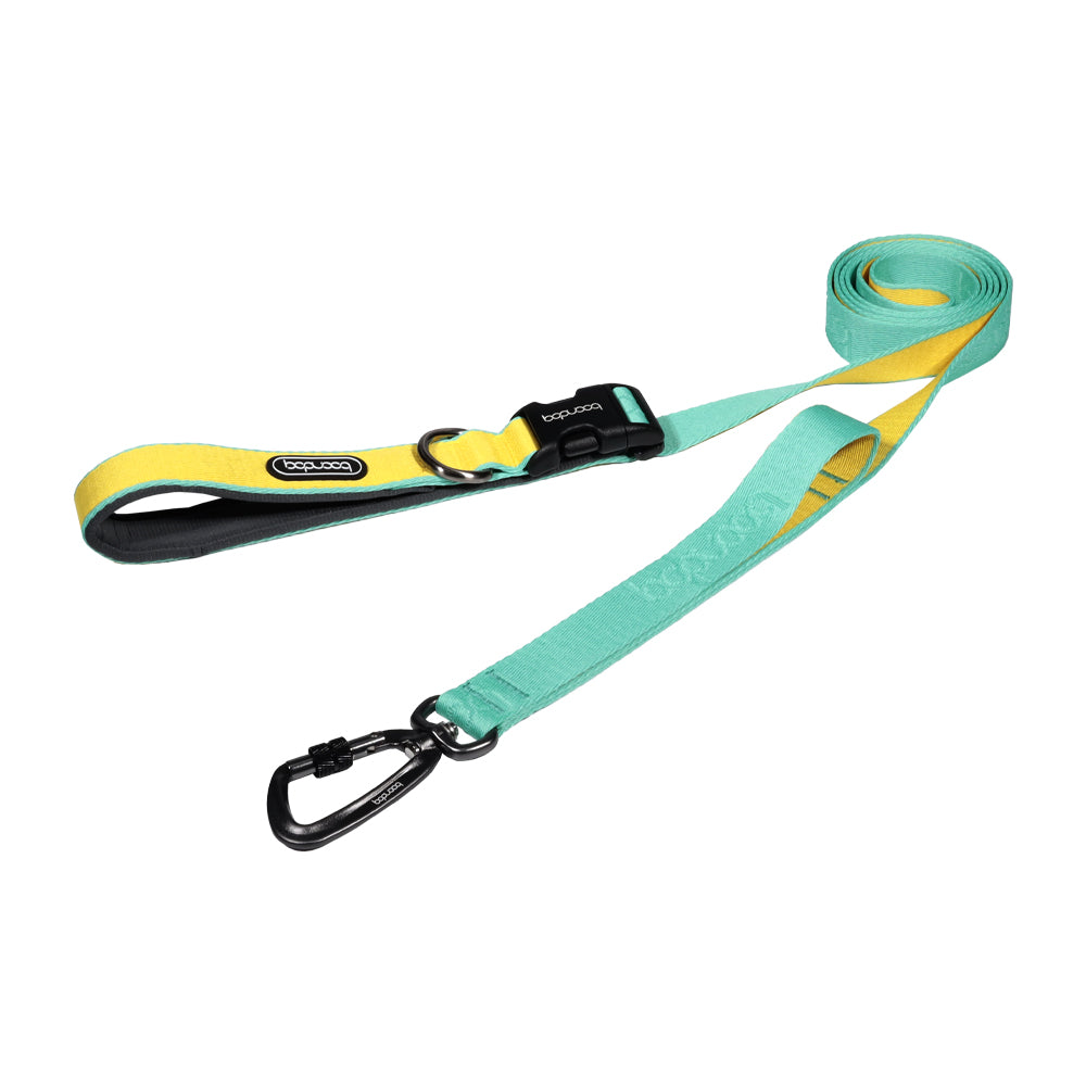 Play Leash 2.0 - Mint Lemon (Carabiner)