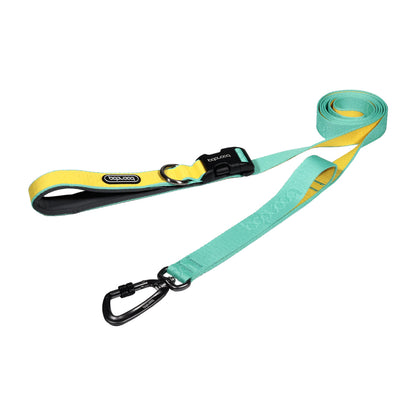 Play Leash 2.0 - Mint Lemon (Carabiner)