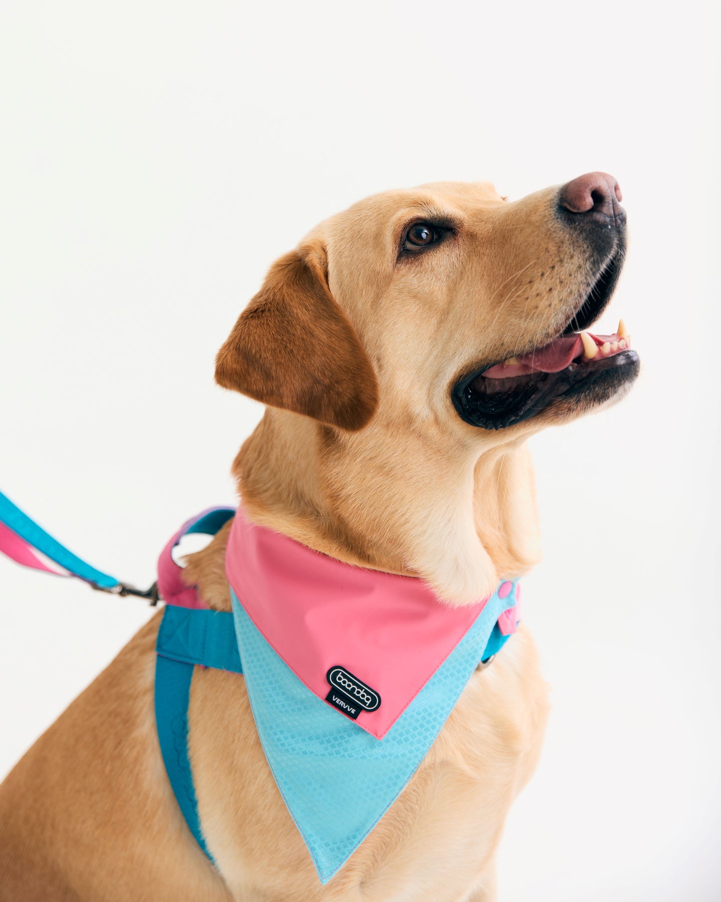 Boondog x VERVVE Crossover Bandana - Narrow - Pink (Limited Edition)