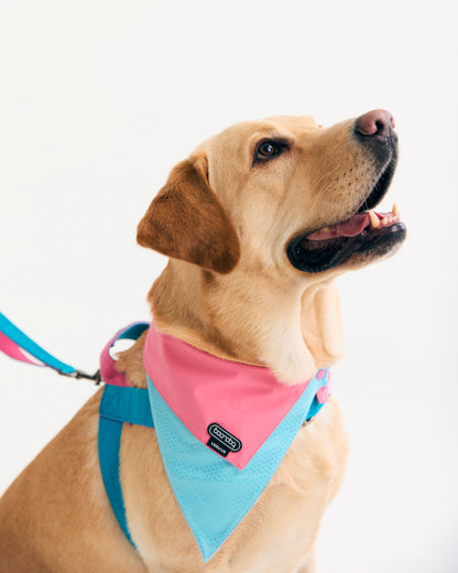 Boondog x VERVVE Crossover Bandana - Narrow - Pink (Limited Edition)