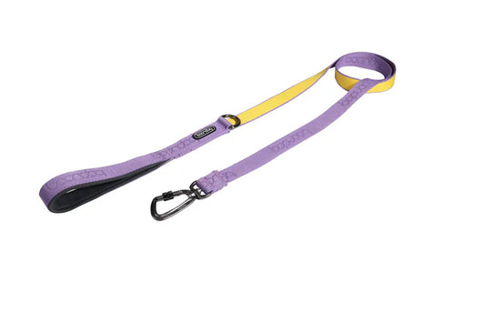 Original Leash 1.4米牽引繩 - 檸檬紫 (爬山扣款)