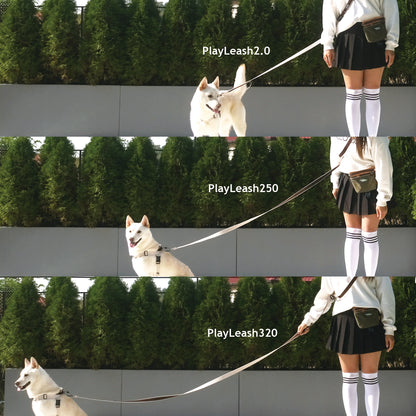 Play Leash320 3.2米牽引繩 - 紅色 (爬山扣款)