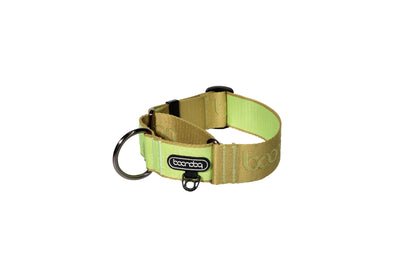 防暴衝項圈 (寬版)  - 奇異果