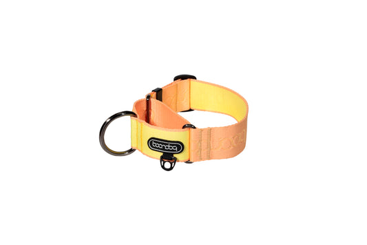 防暴衝項圈 (寬版)  - 蜜桃