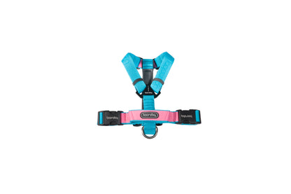 Play H Harness - Aqua Pink