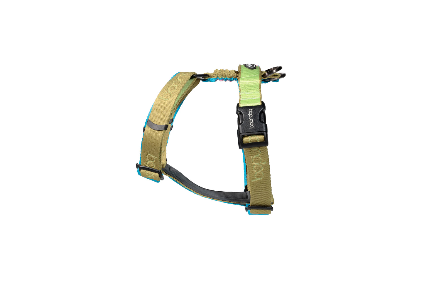 Play H Harness - Kiwi