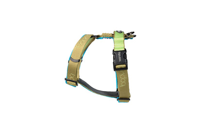 Play H Harness - Kiwi