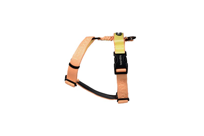 Play H Harness - Peach