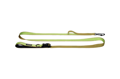 Play Leash 2.0 - Kiwi (Carabiner)