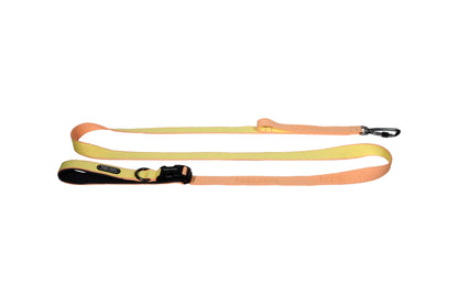 Play Leash 2.0 - Peach (Carabiner)