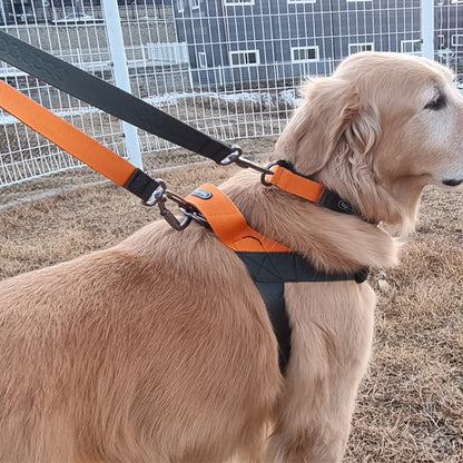 Dual Leash 雙扣防暴衝可調節式牽引繩 - 綠橘色